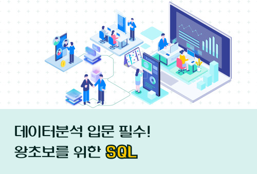 [SQL 입문] 데이터분석 입문 필수! 왕초보를 위한 SQL 썸네일